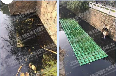 约6.5亿！湖北新城镇建设项目（二期）柴泊湖综合整治及刘集地区水环境治理（一期）EPC（一标段）招标