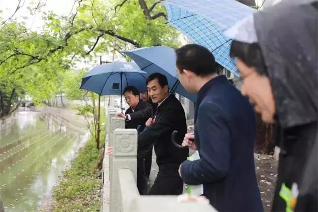 双良“石墨烯可见光催化技术”引起各地广泛关注
