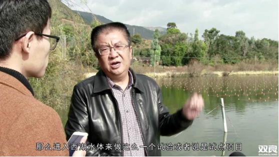 洱源西湖<a href=http://www.wljzc.cn target=_blank class=infotextkey>水环境治理</a><a href=http://www.wljzc.cn/hp/ target=_blank class=infotextkey>湖泊修复</a>碧水蓝天