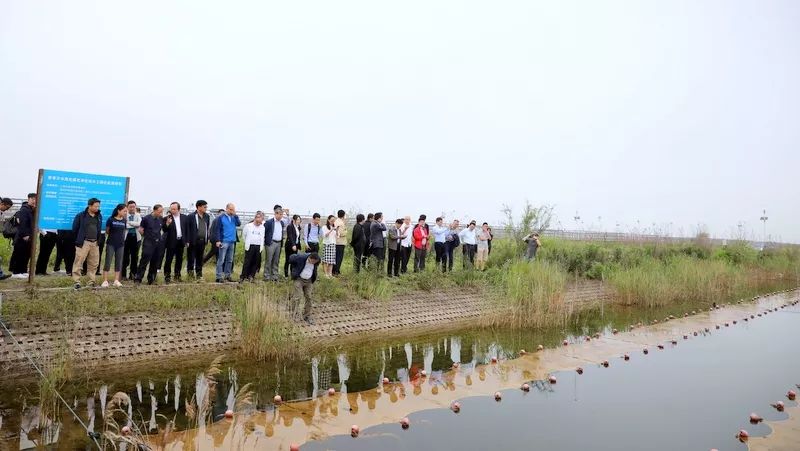 中国第一大城市饮用水<a href=http://www.wljzc.cn/yysyd/ target=_blank class=infotextkey>水源地治理</a>技术突破