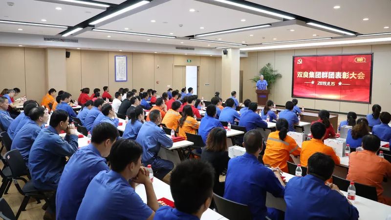 双良集团群团表彰大会隆重召开