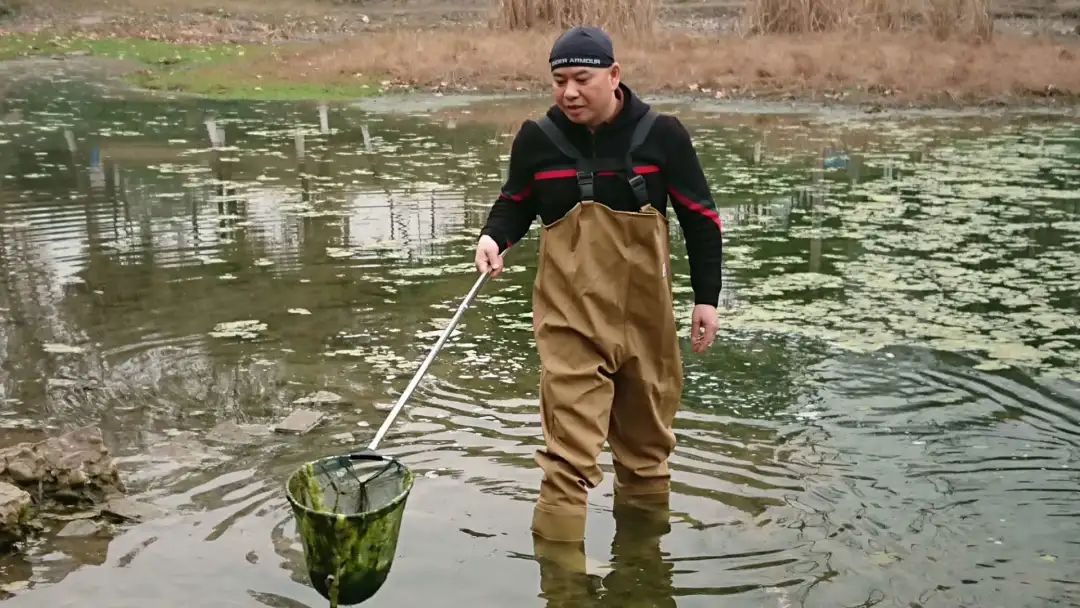 “营销排头兵”朱宏芳