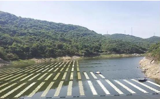 双良环境新型光催化技术帮助嵊泗提升水库水质