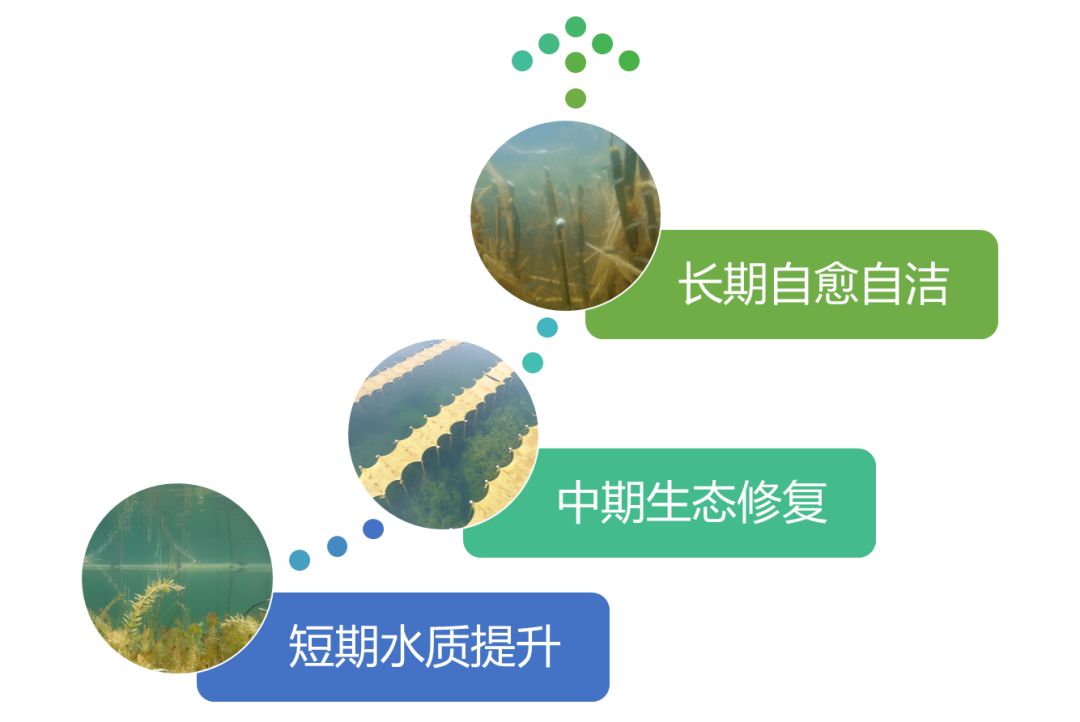 2020<a href=http://www.wljzc.cn target=_blank class=infotextkey><a href=http://www.wljzc.cn target=_blank class=infotextkey>双良</a>环境</a>春招开启