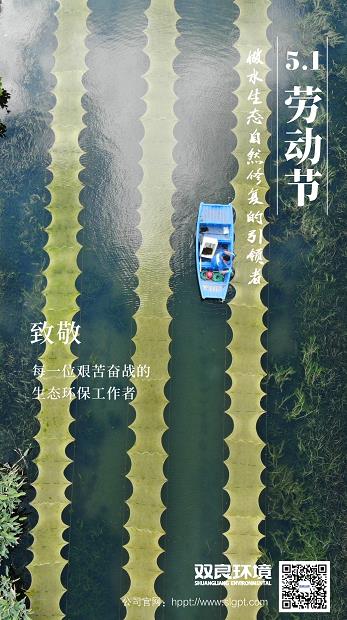 双良环境致敬每一位生态环保工作者！