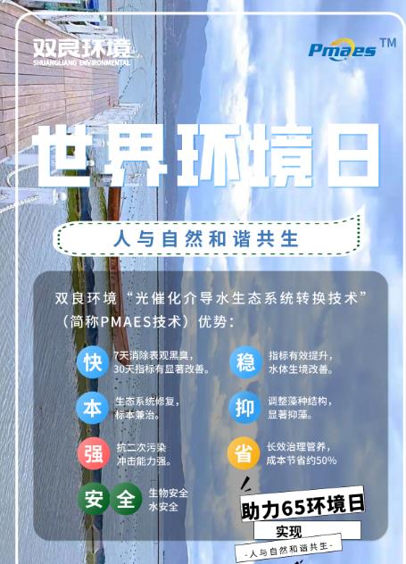 双良环境助力六·五世界环境日