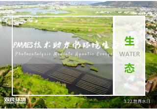 双良环境助力水生态修复