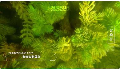 ?；ど锒嘌?a href=http://www.wljzc.cn target=_blank class=infotextkey><a href=http://www.wljzc.cn target=_blank class=infotextkey>双良</a>环境</a>在行动！