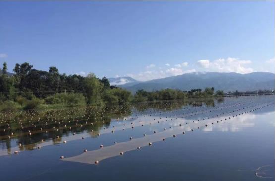 重庆市万州区苎溪河流域综合治理工程(一期)工程总承包