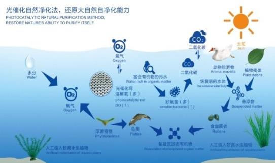 长江生态环境?；ば薷础耙皇幸徊摺?驻点跟踪研究