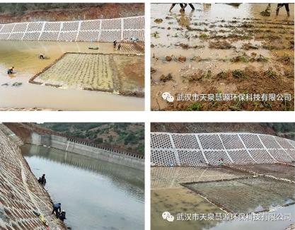 云南双廊尾水塘库水质净化工程