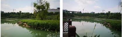 贵阳云盘唱晚景区景观湖生态修复工程筹备工作就绪