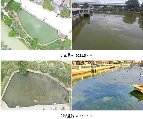 黄山市重点流域国控点浮游生物与水环境监测项目