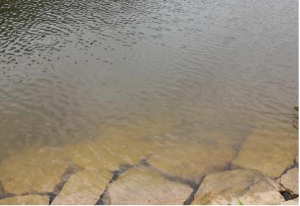首部湿地保护法正式实施