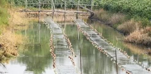 云南省九大高原湖泊?；ぶ卫砬榭龅鞑橄盗?>
					</div>


					<div   id=