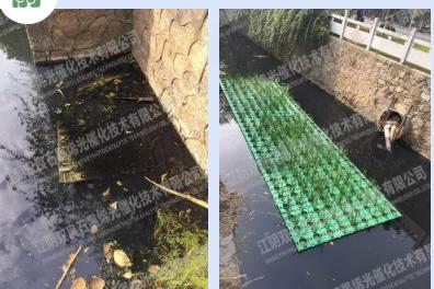 房山这两处“黑臭”水体变景观、绿地