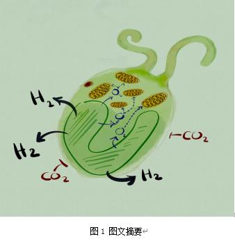  双良环境最新科研动态(2022-09)