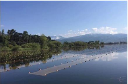 新闻转载｜调研光谷湖泊水环境治理及道路情况
