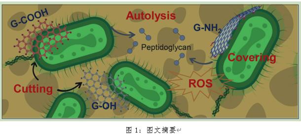 双良环境最新科研动态(2022-10)