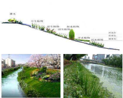 大面积黑臭水体（水塘、水渠、水库等）特别是养殖废水，如何在短时间快速进行治理？达标农灌水或排放标准？