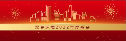 求生存 谋发展丨双良环境2022年度总结大会圆满落幕！