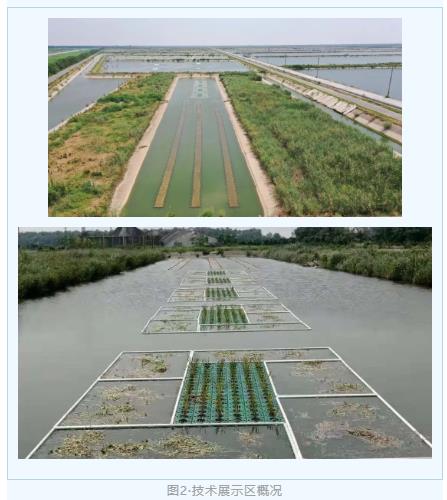 基于长江大?；だ砟钕碌木暗抡蛩肪痴问导剿?>
					</div>


					<div   id=