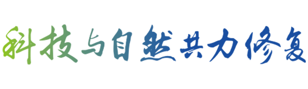 城镇生活污水处理水环境治理与修复