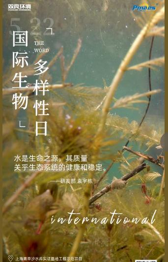 5.22生物多样性日｜共护碧水清波，共建和谐生态！