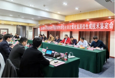 国际先进！双良环境这项首创技术通过专家权威鉴定